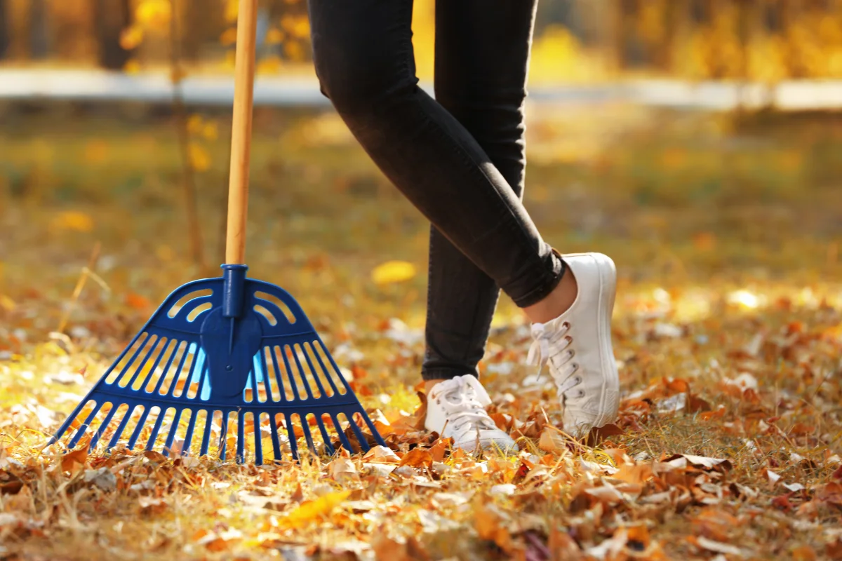 fall yard cleanup in Salida, CO