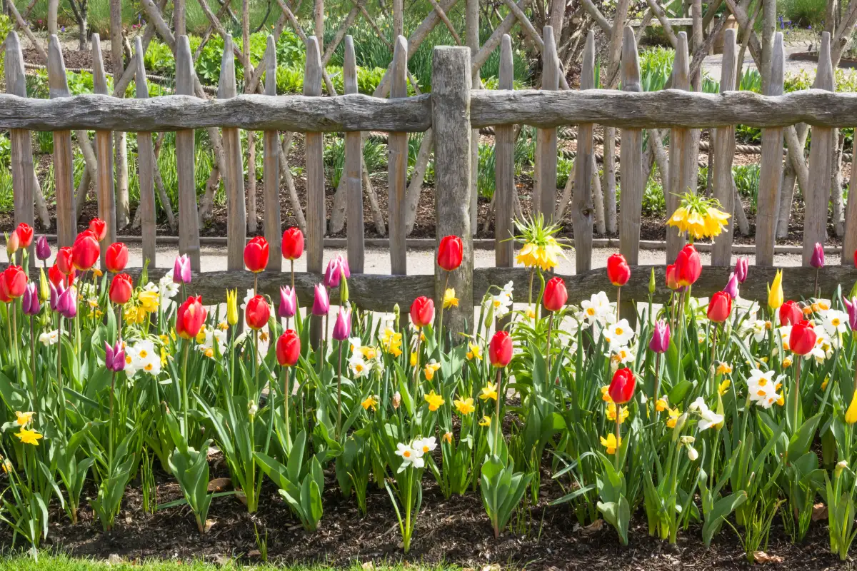 grounds and property maintenance in Salida, CO