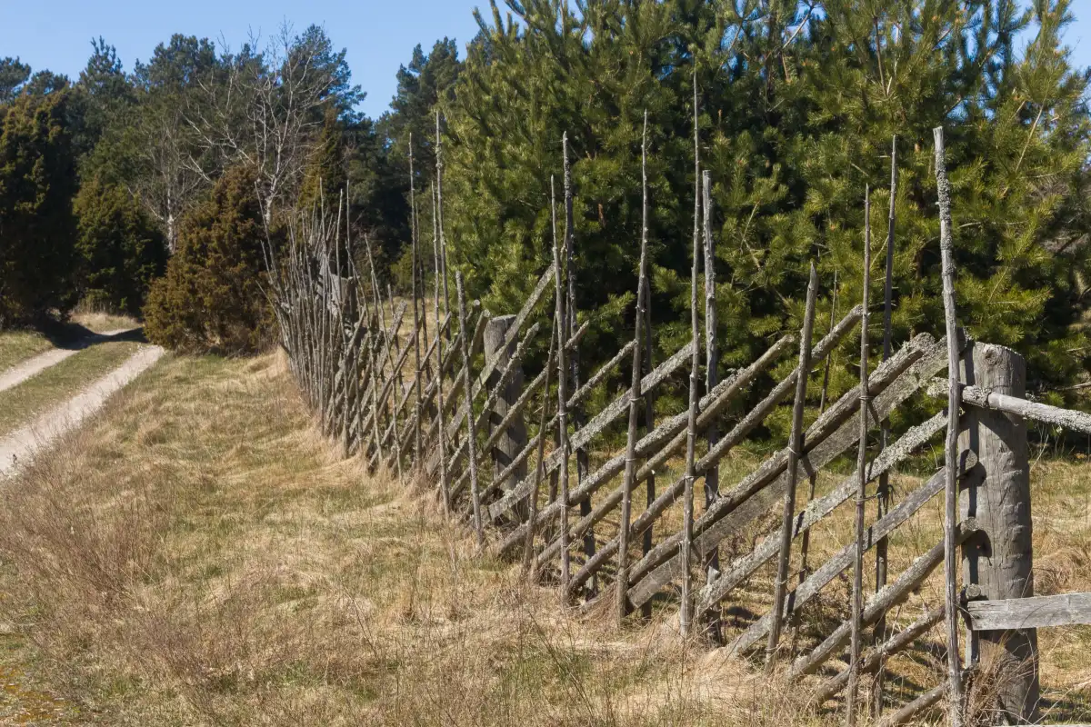 lodgepole fence in Salida, CO