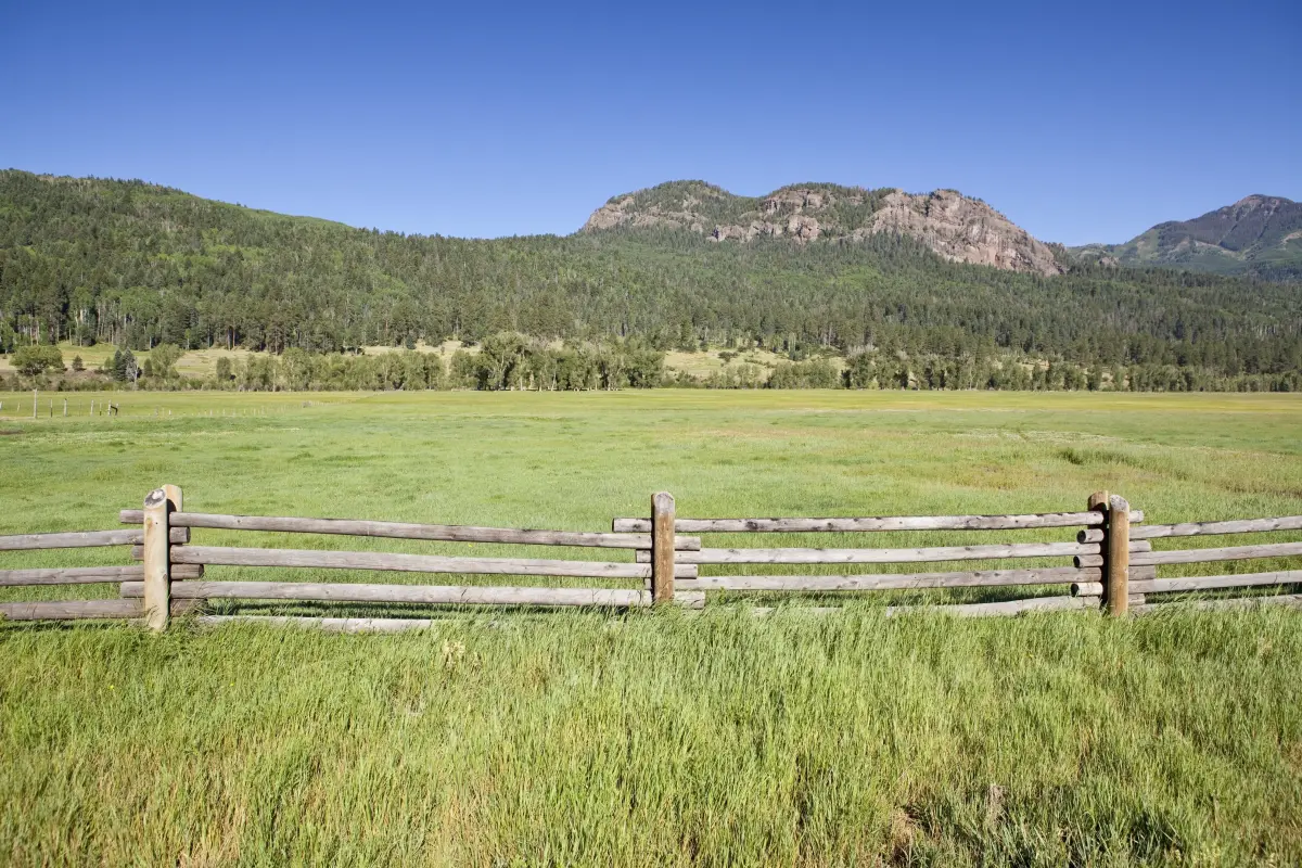 split rail ranch fence in Chaffee County, CO
